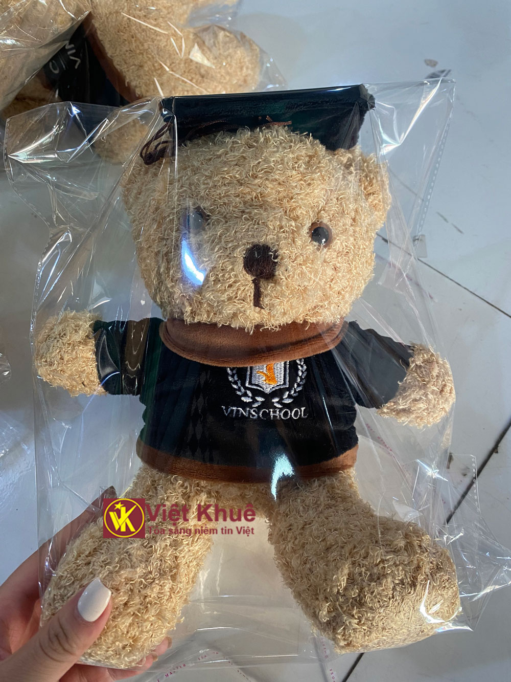 Gấu bông tốt nghiệp Vinschool
