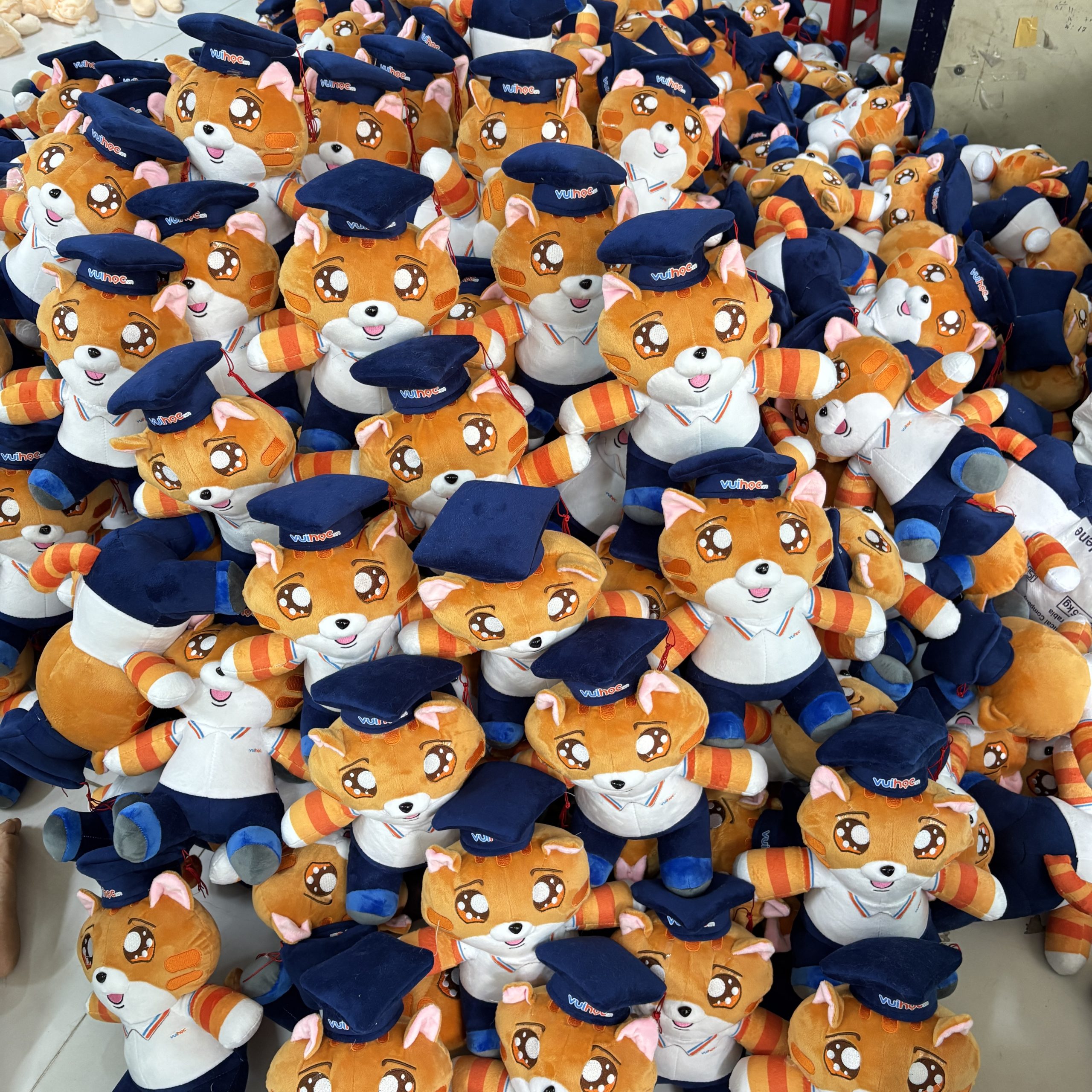 Gấu bông tốt nghiệp